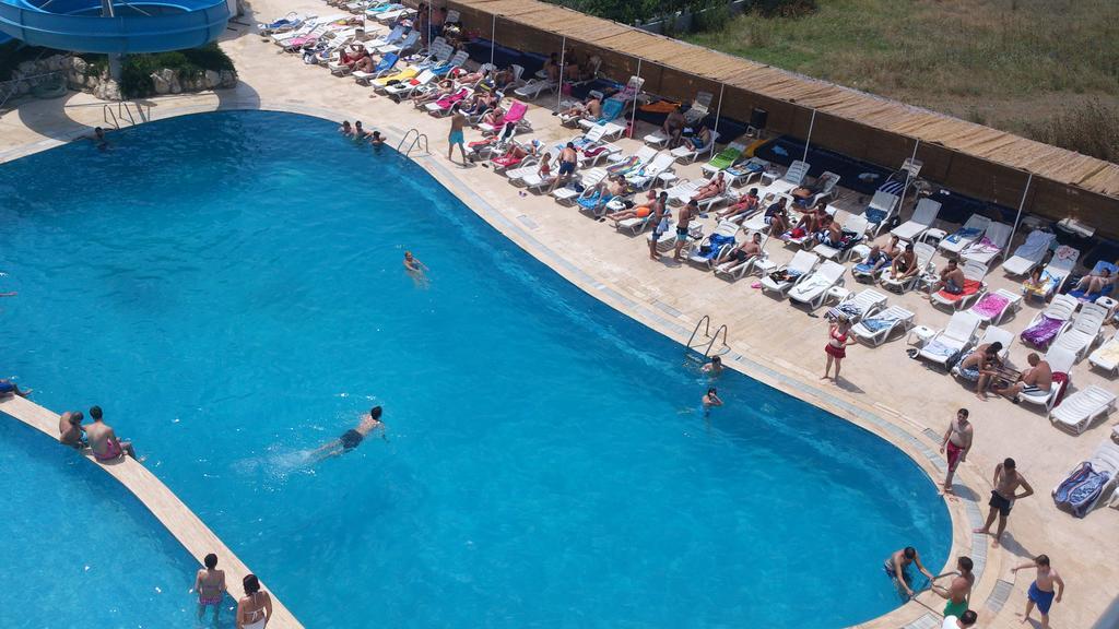 Penguen Istanboel